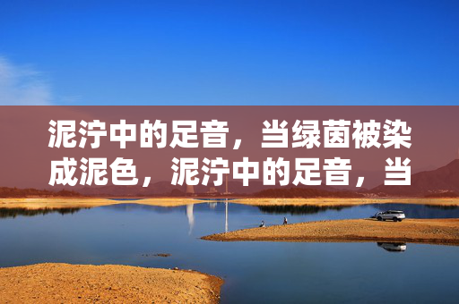 泥泞中的足音，当绿茵被染成泥色，泥泞中的足音，当绿茵被染成泥色