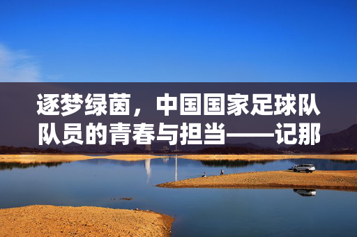 逐梦绿茵，中国国家足球队队员的青春与担当——记那些为国而战的足球健儿，逐梦绿茵，中国国家足球队队员的青春与担当——记那些为国而战的足球健儿