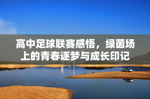 高中足球联赛感悟，绿茵场上的青春逐梦与成长印记