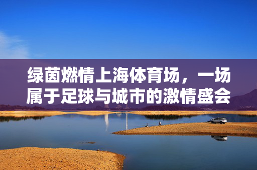 绿茵燃情上海体育场，一场属于足球与城市的激情盛会