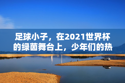足球小子，在2021世界杯的绿茵舞台上，少年们的热血与梦想