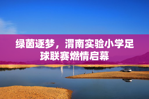 绿茵逐梦，渭南实验小学足球联赛燃情启幕