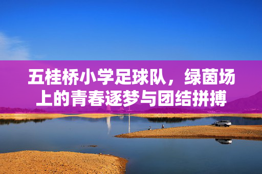 五桂桥小学足球队，绿茵场上的青春逐梦与团结拼搏
