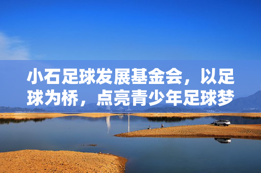 小石足球发展基金会，以足球为桥，点亮青少年足球梦想的公益力量，小石足球发展基金会，以足球为桥点亮青少年足球梦想的公益力量