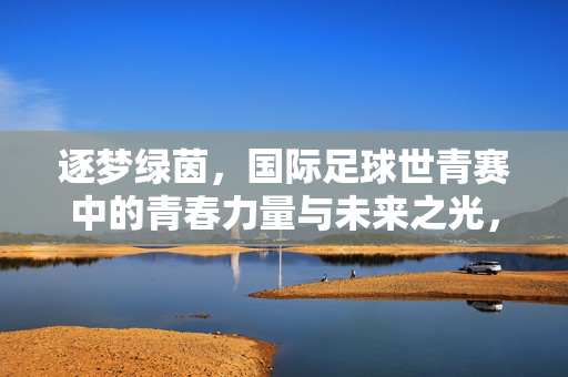 逐梦绿茵，国际足球世青赛中的青春力量与未来之光，逐梦绿茵，国际足球世青赛中的青春力量与未来之光