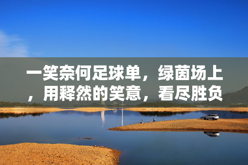 一笑奈何足球单，绿茵场上，用释然的笑意，看尽胜负的宿命，一笑奈何足球单，绿茵场上看尽胜负宿命
