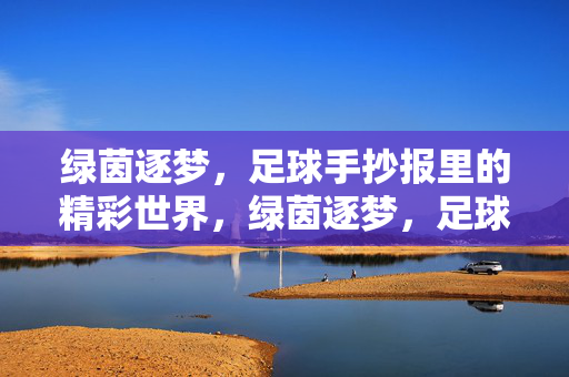 绿茵逐梦，足球手抄报里的精彩世界，绿茵逐梦，足球手抄报里的精彩世界