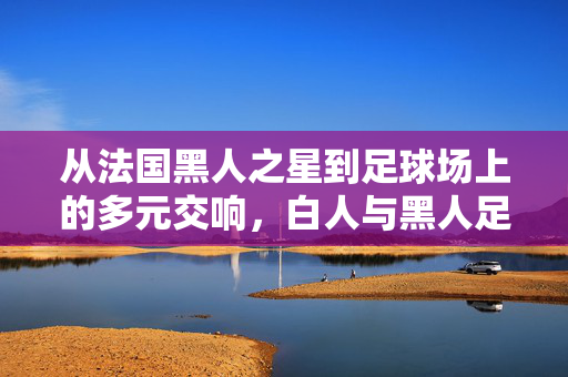 从法国黑人之星到足球场上的多元交响，白人与黑人足球明星的共生与张力——法国足球中的种族与身份叙事