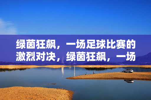 绿茵狂飙，一场足球比赛的激烈对决，绿茵狂飙，一场足球比赛的激烈对决