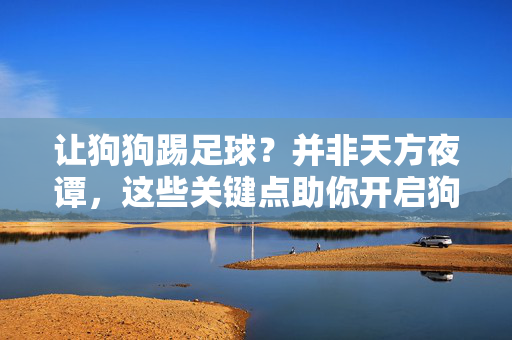 让狗狗踢足球？并非天方夜谭，这些关键点助你开启狗球新体验，让狗狗踢足球？并非天方夜谭，这些关键点助你开启狗球新体验