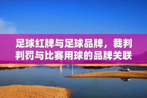 足球红牌与足球品牌，裁判判罚与比赛用球的品牌关联