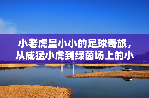 小老虎皇小小的足球奇旅,从威猛小虎到绿茵场上的小将
