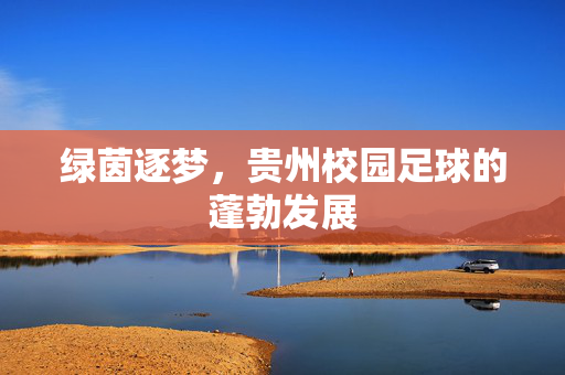 绿茵逐梦，贵州校园足球的蓬勃发展