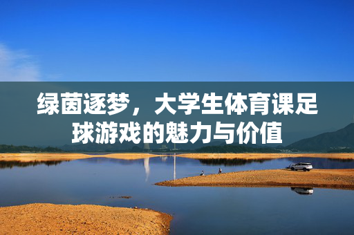 绿茵逐梦，大学生体育课足球游戏的魅力与价值