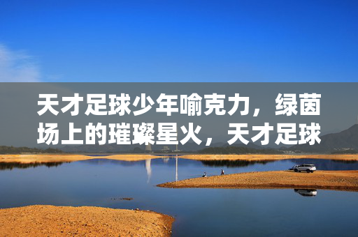 天才足球少年喻克力，绿茵场上的璀璨星火，天才足球少年喻克力，绿茵场上的璀璨星火