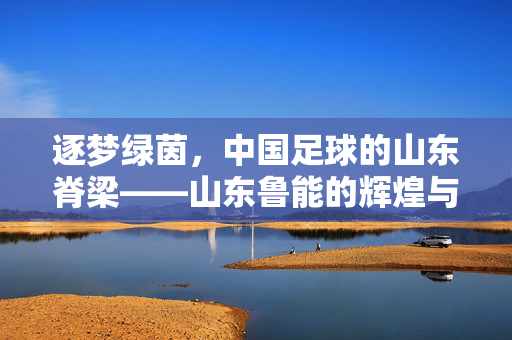 逐梦绿茵，中国足球的山东脊梁——山东鲁能的辉煌与传承