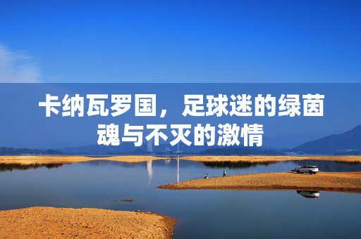 卡纳瓦罗国，足球迷的绿茵魂与不灭的激情