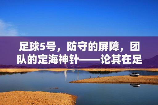 足球5号，防守的屏障，团队的定海神针——论其在足球中的不可替代性，足球5号，防守的屏障，团队的定海神针——论其在足球中的不可替代性