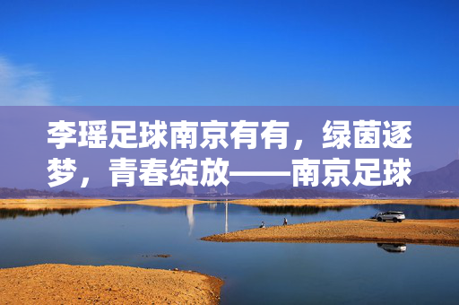 李瑶足球南京有有，绿茵逐梦，青春绽放——南京足球少女的逐梦之路