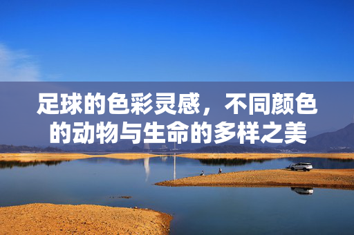 足球的色彩灵感，不同颜色的动物与生命的多样之美