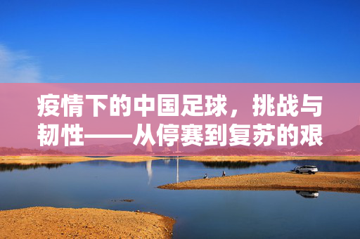 疫情下的中国足球，挑战与韧性——从停赛到复苏的艰难历程，疫情下的中国足球，挑战与韧性——从停赛到复苏的艰难历程