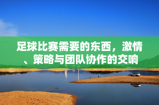 足球比赛需要的东西，激情、策略与团队协作的交响