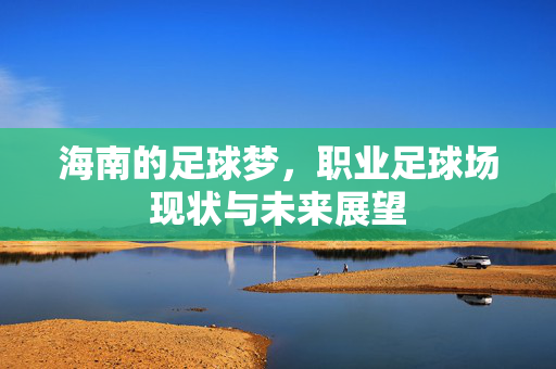 海南的足球梦，职业足球场现状与未来展望