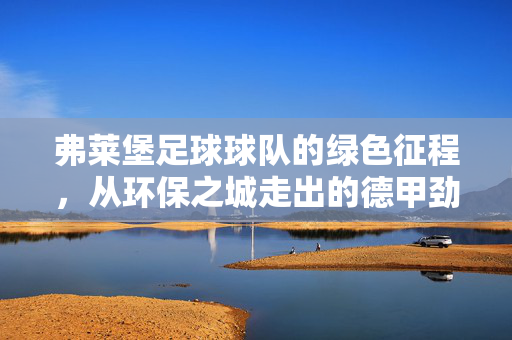 弗莱堡足球球队的绿色征程，从环保之城走出的德甲劲旅