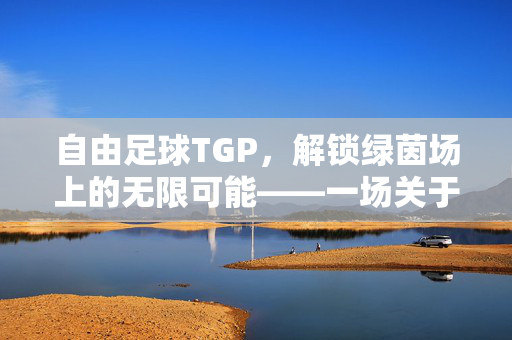 自由足球TGP，解锁绿茵场上的无限可能——一场关于足球自由与技术的深度探索