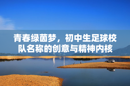 青春绿茵梦，初中生足球校队名称的创意与精神内核