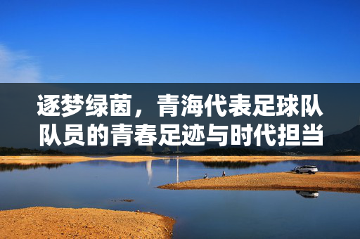 逐梦绿茵，青海代表足球队队员的青春足迹与时代担当