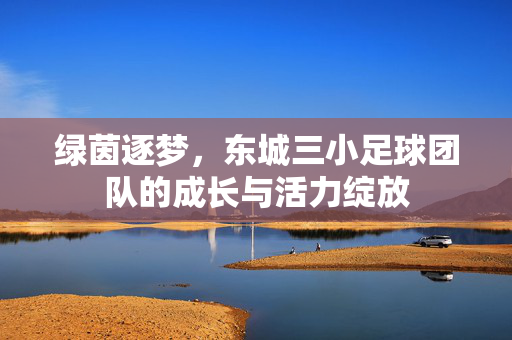 绿茵逐梦，东城三小足球团队的成长与活力绽放