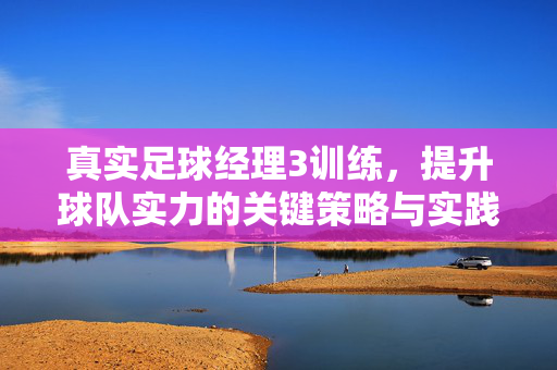 真实足球经理3训练，提升球队实力的关键策略与实践