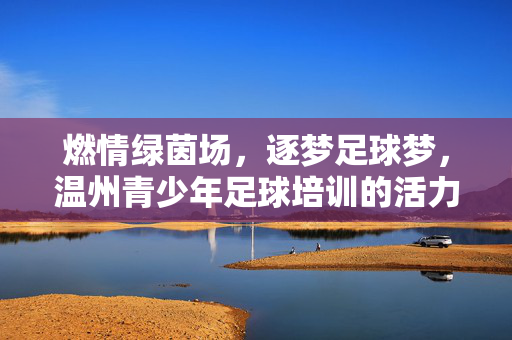 燃情绿茵场，逐梦足球梦，温州青少年足球培训的活力与希望