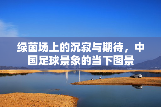 绿茵场上的沉寂与期待，中国足球景象的当下图景