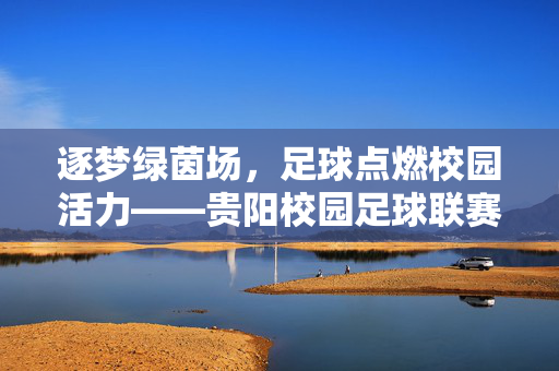 逐梦绿茵场，足球点燃校园活力——贵阳校园足球联赛赛区综述