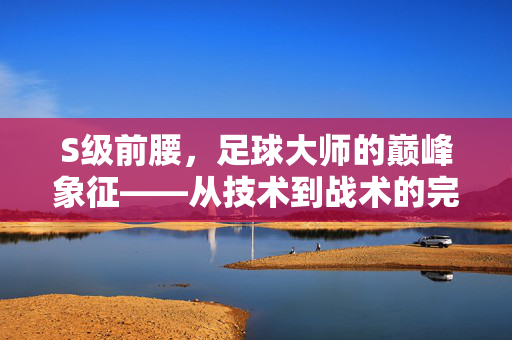 S级前腰，足球大师的巅峰象征——从技术到战术的完美融合