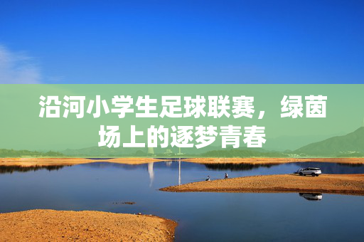 沿河小学生足球联赛，绿茵场上的逐梦青春