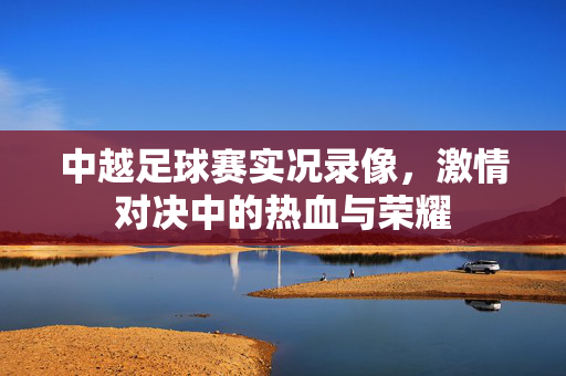 中越足球赛实况录像，激情对决中的热血与荣耀
