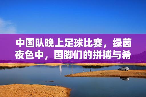 中国队晚上足球比赛，绿茵夜色中，国脚们的拼搏与希望