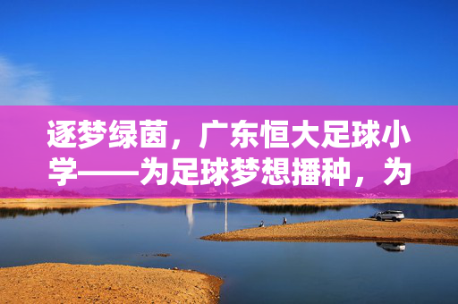逐梦绿茵，广东恒大足球小学——为足球梦想播种，为未来培养星苗