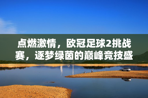 点燃激情，欧冠足球2挑战赛，逐梦绿茵的巅峰竞技盛宴