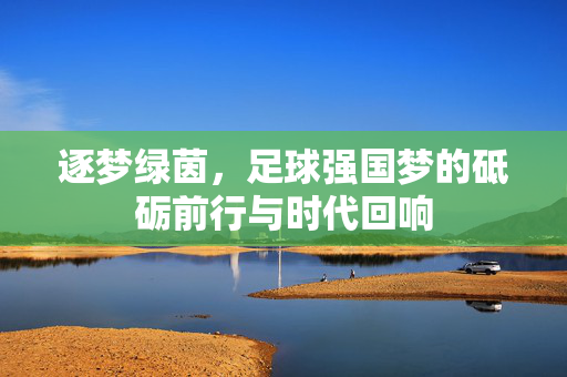 逐梦绿茵，足球强国梦的砥砺前行与时代回响