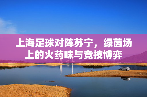 上海足球对阵苏宁，绿茵场上的火药味与竞技博弈
