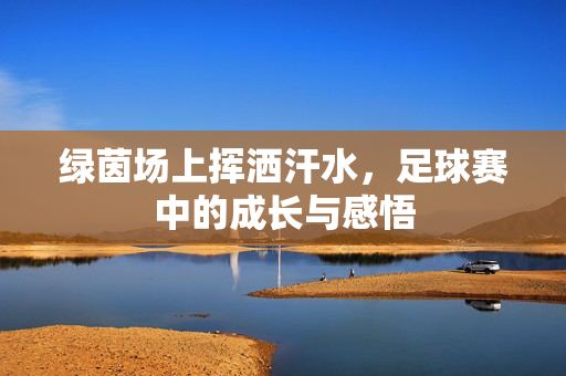 绿茵场上挥洒汗水，足球赛中的成长与感悟