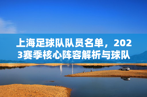 上海足球队队员名单，2023赛季核心阵容解析与球队构成