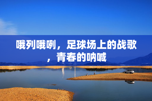 哦列哦咧,足球场上的战歌,青春的呐喊