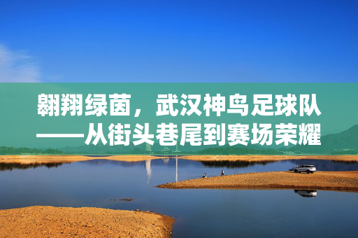 翱翔绿茵，武汉神鸟足球队——从街头巷尾到赛场荣耀的青春跃动，翱翔绿茵，武汉神鸟足球队——从街头巷尾到赛场荣耀的青春跃动