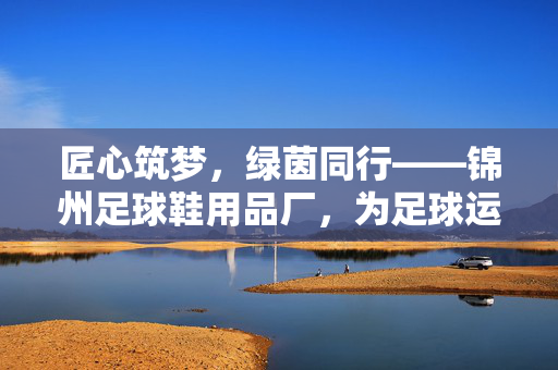 匠心筑梦，绿茵同行——锦州足球鞋用品厂，为足球运动注入品质力量