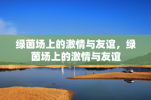 绿茵场上的激情与友谊，绿茵场上的激情与友谊